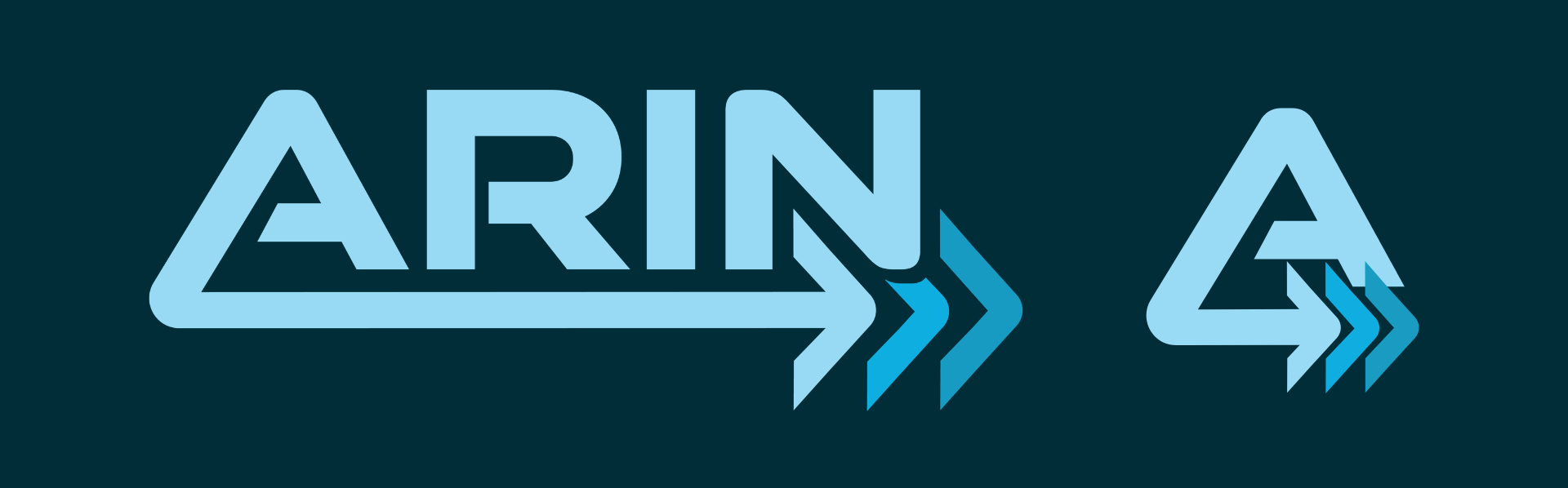 Reverse ARIN logo and icon
